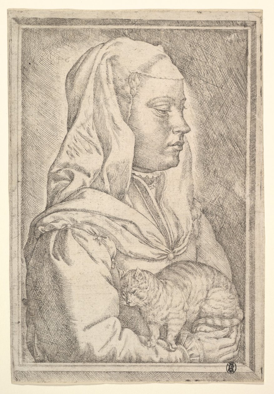 Pige med en kat, 1546. af Jan Cornelisz Vermeyen