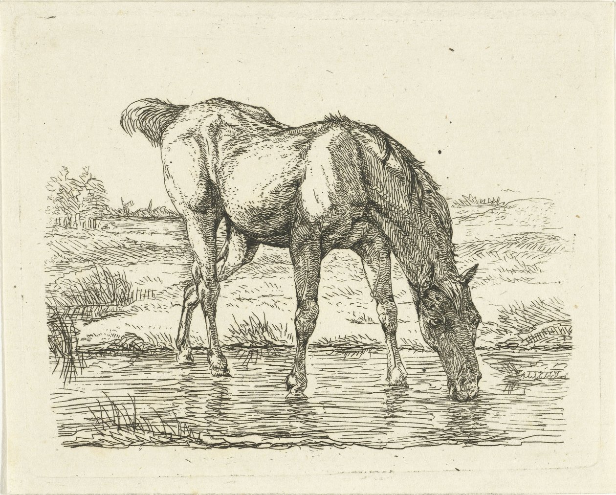 Drikkehest af Jan Dasveldt