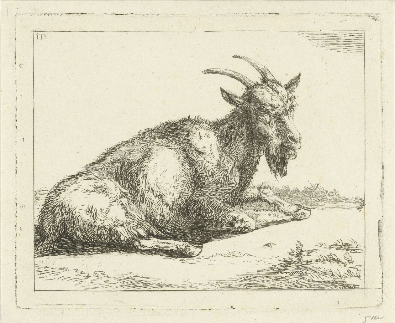 Ged af Jan Dasveldt
