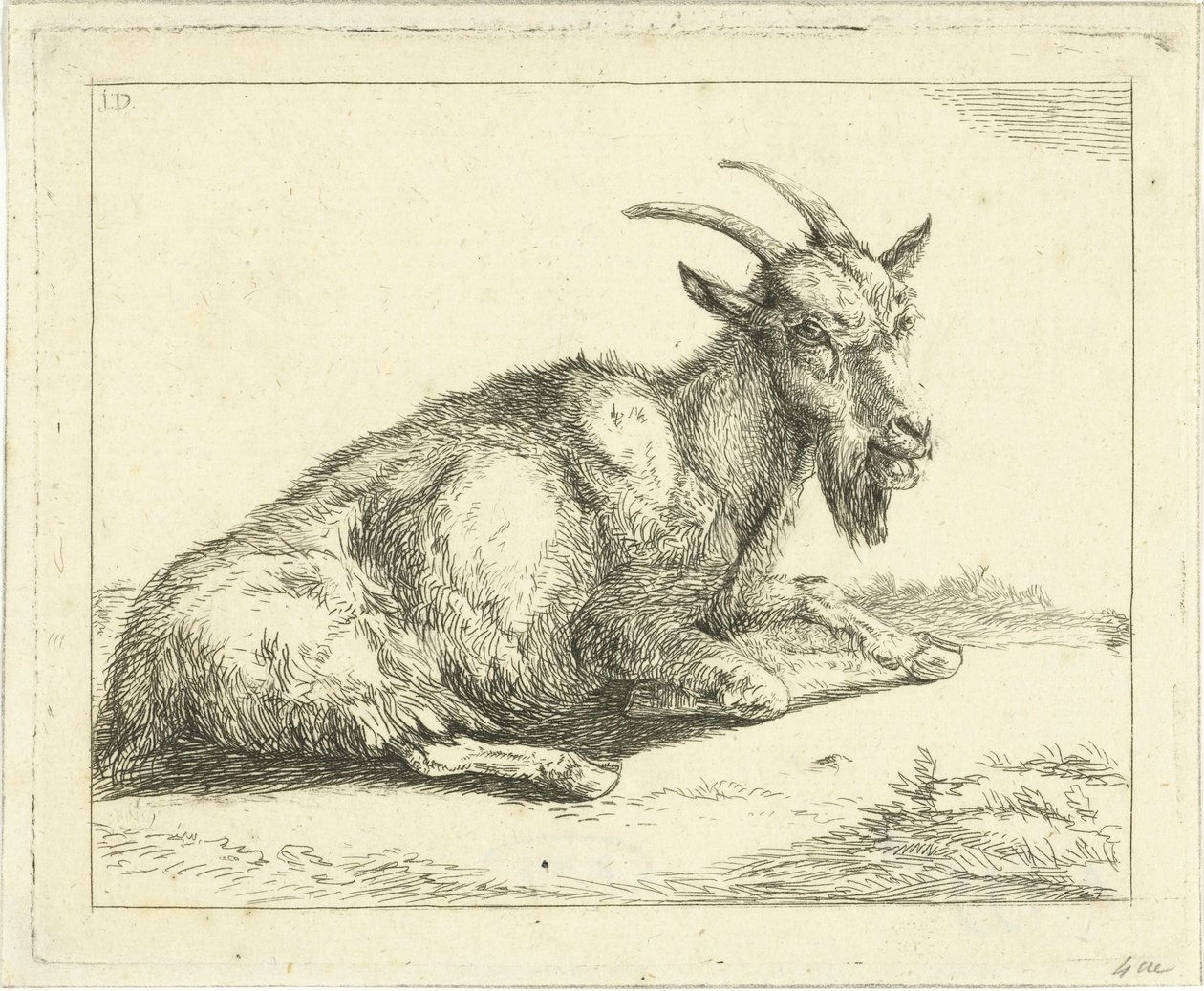 Ged af Jan Dasveldt