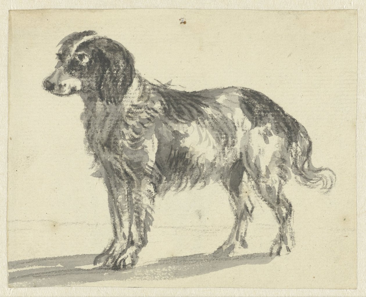 stående hund af Jan Dasveldt