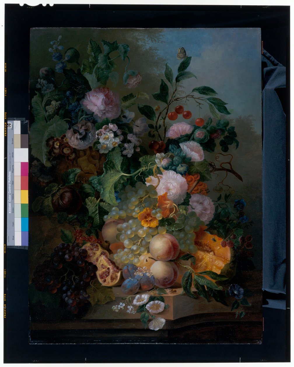 Stilleben med blomster, pærer, vindruer, kirsebær, en melon og sommerfugle af Jan Evert Morel