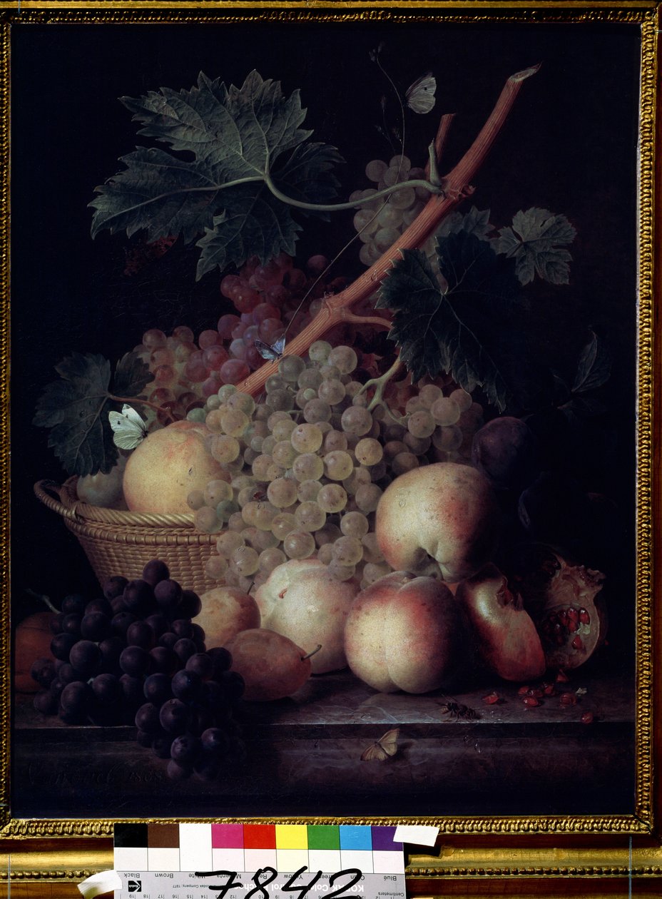 ""Frugter"" Stilleben af ​​ferskner, druer, pærer og granatæbler med sommerfugle og en hveps. Maleri af Jean Francois van Dael (1764-1840) 1808 Pushkin Museum, Moskva af Jan Frans van Dael