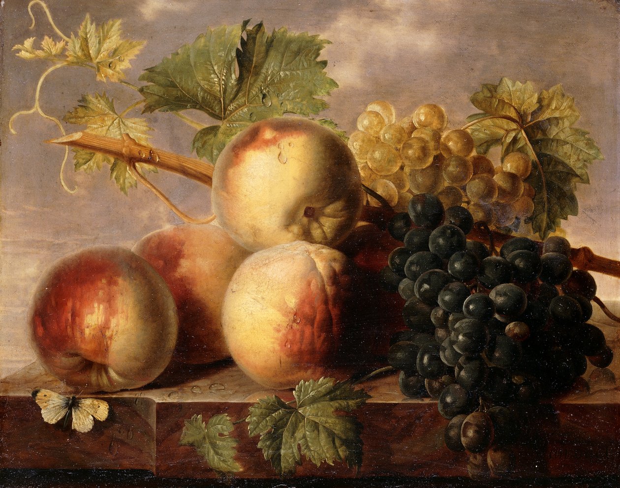 Ferskner og druer med en hvidkål på en marmorkant, af Jan Frans van Dael