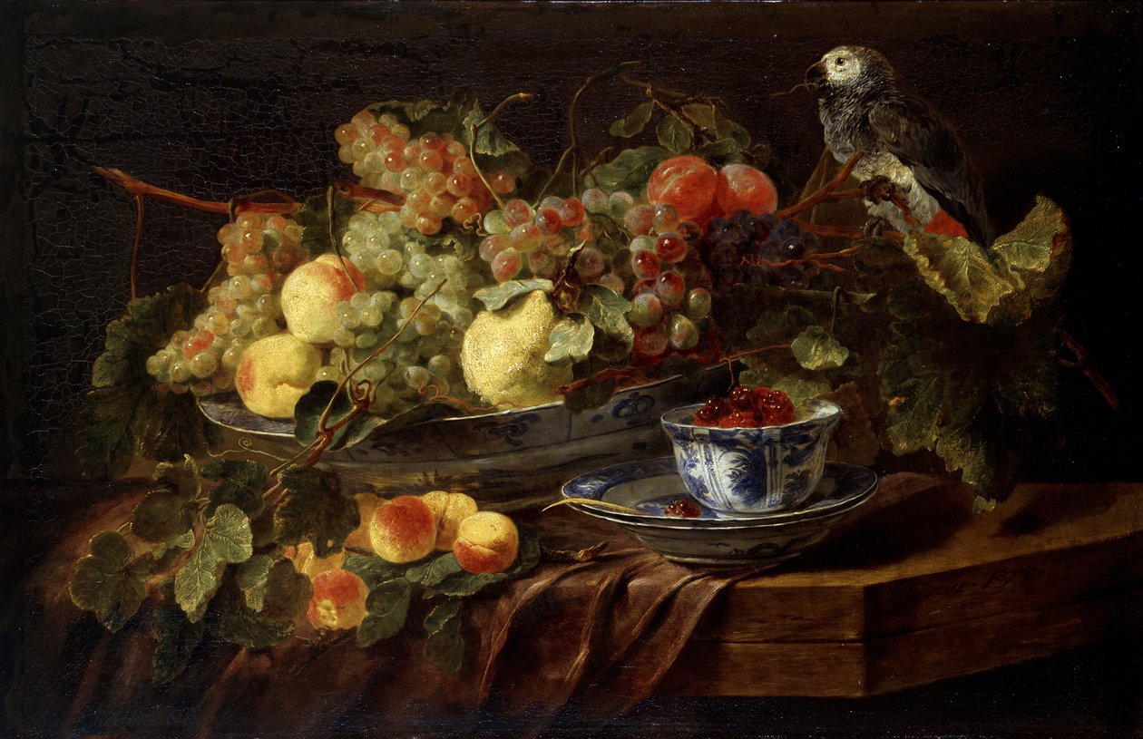 Stilleben med frugt og papegøje, 1645. af Jan Fyt