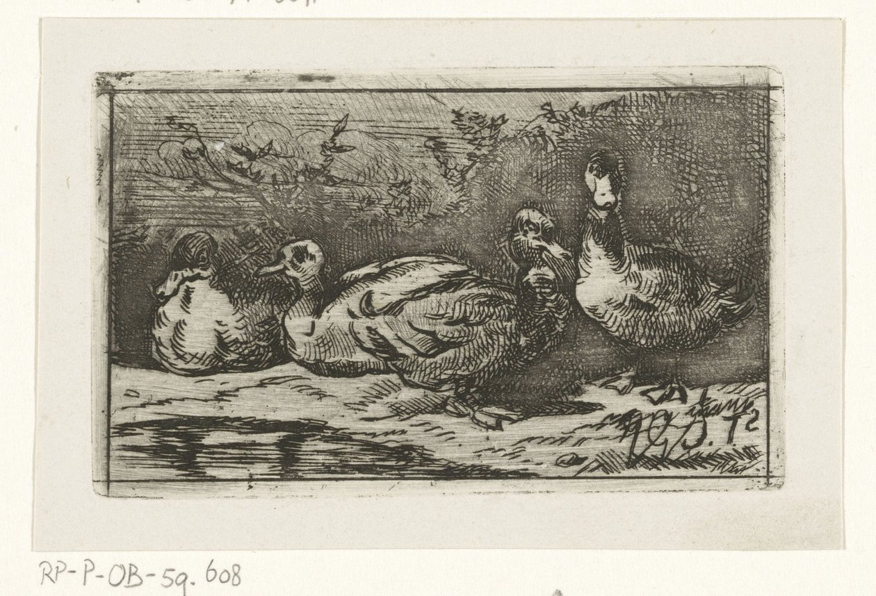 Fire ænder ved havnefronten af Jan Gerard Smits