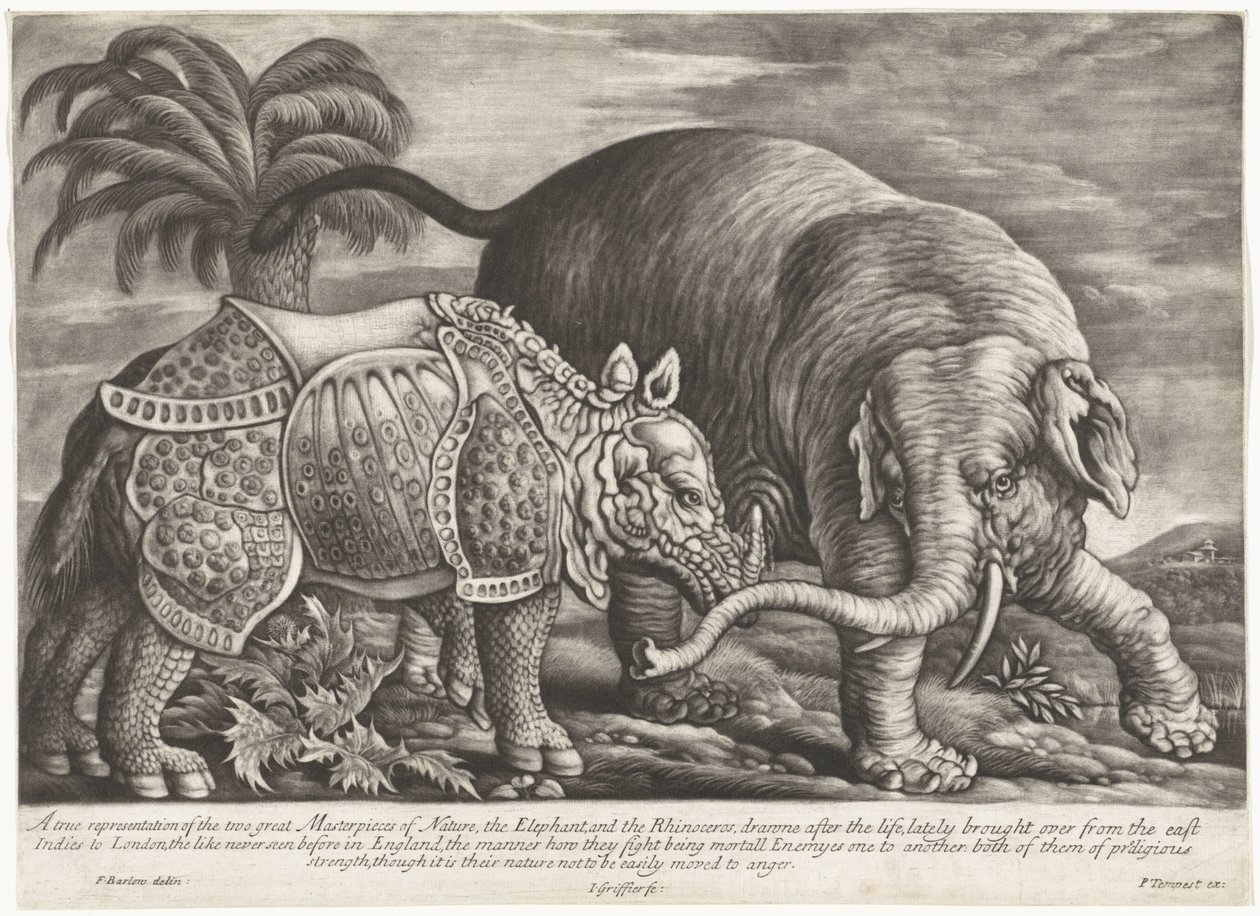 Olifant en neushoorn En sand gengivelse af naturens to store mesterværker, elefanten og næsehornet (titel på objektet) af Jan Griffier (I)