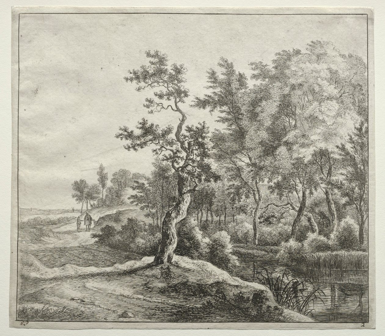 The Serpentine Road af Jan Hackaert