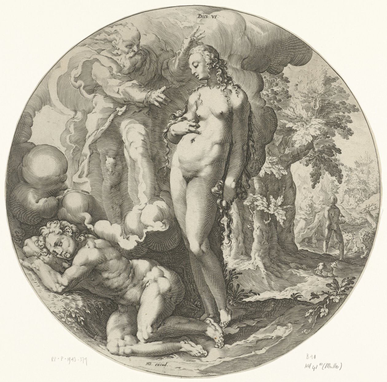 Skabelsens sjette dag: Menneskets skabelse Dies VI (titel på objekt) Creation of the World (serietitel) af Jan Harmensz. Muller