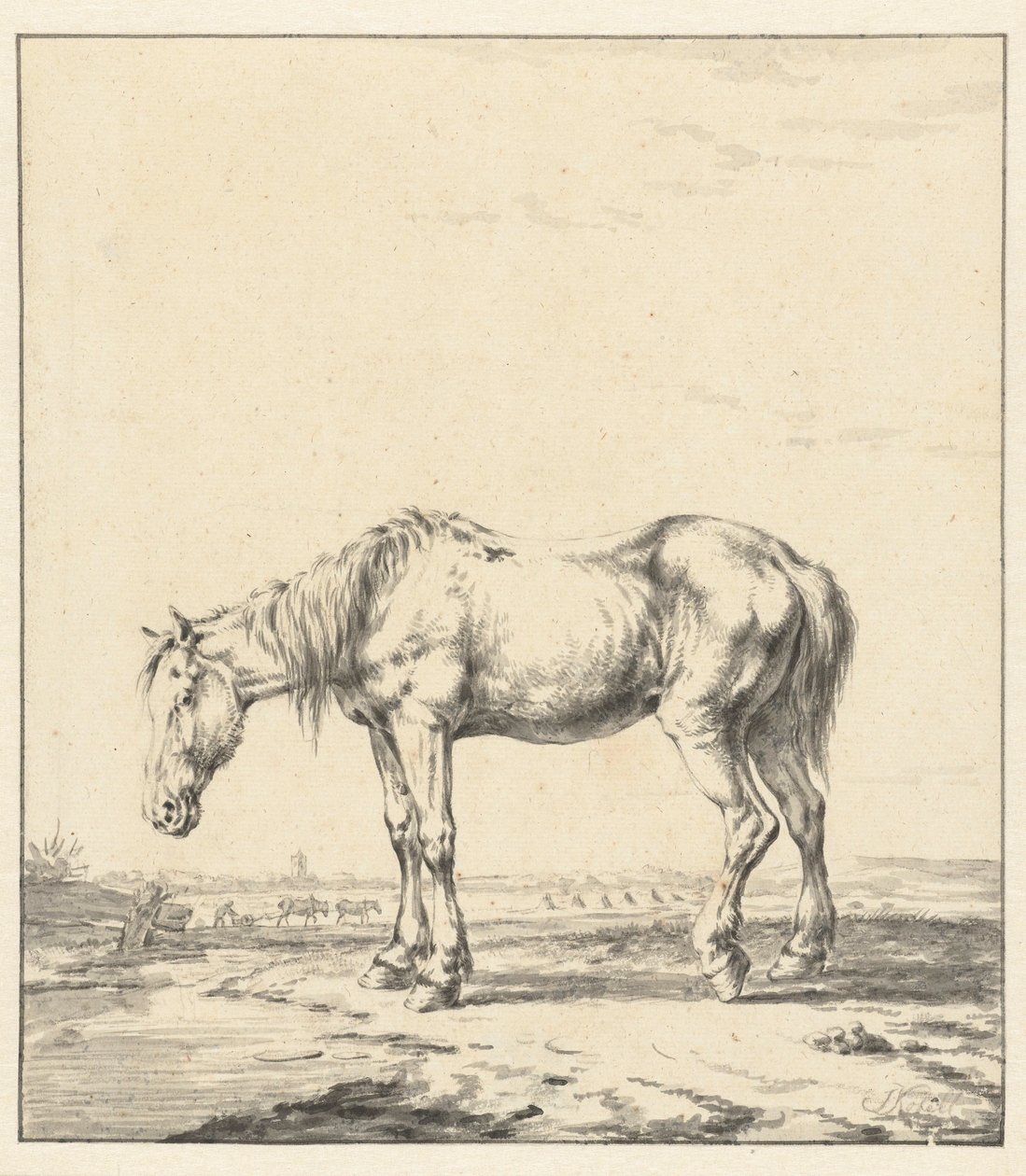 Gammel hest stående ved et vand af Jan Kobell (II)