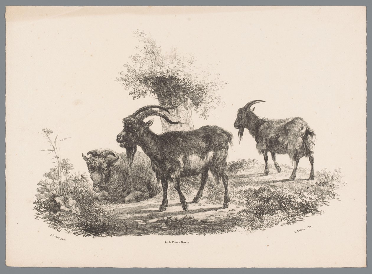 To geder og et får ved et træ Beesten Studien af ​​J. Kobell efter Paul Potter Nr. 1 (serietitel) af Jan Kobell (III)