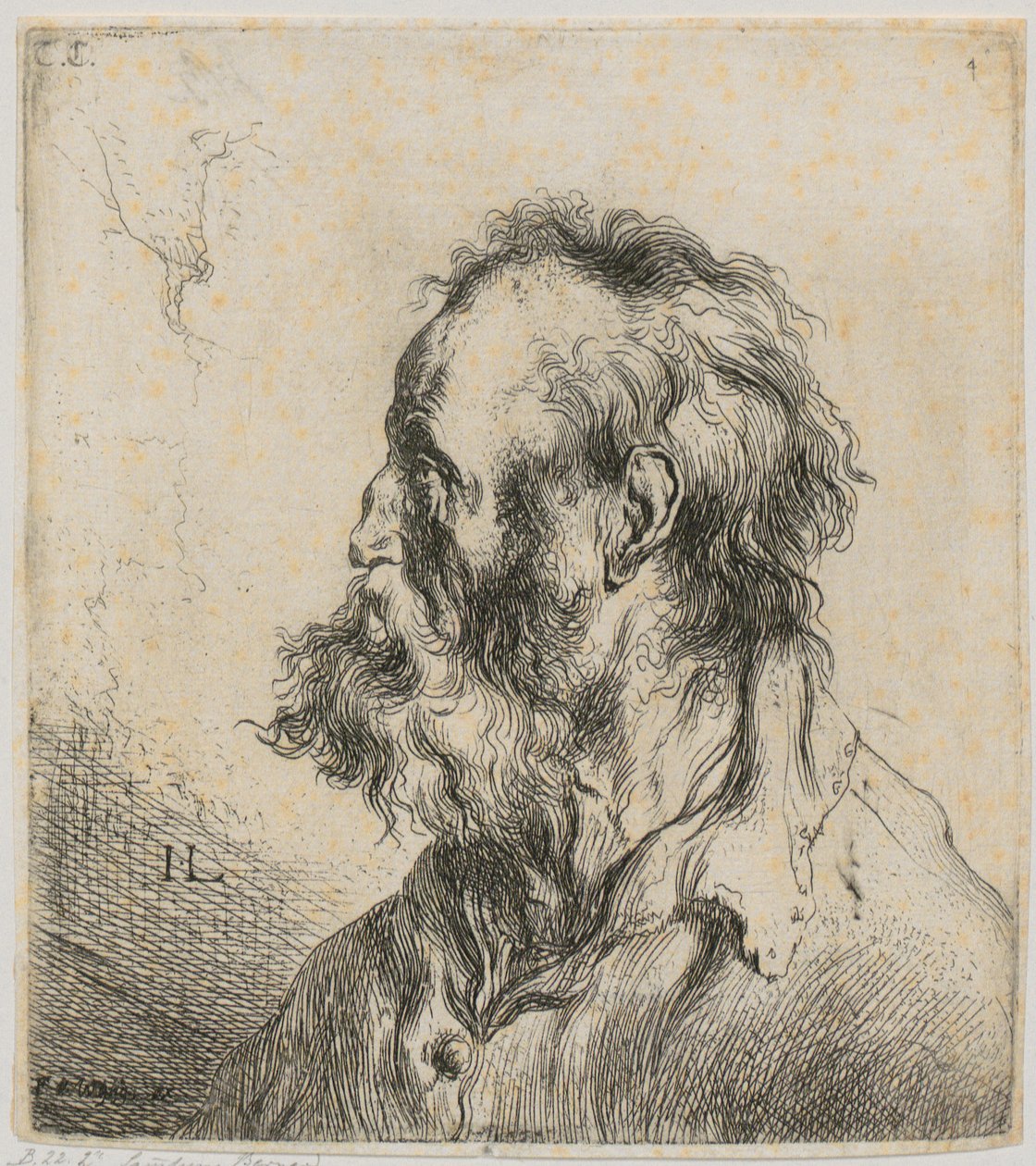 Brystbillede af en skægget gammel mand af Jan Lievens