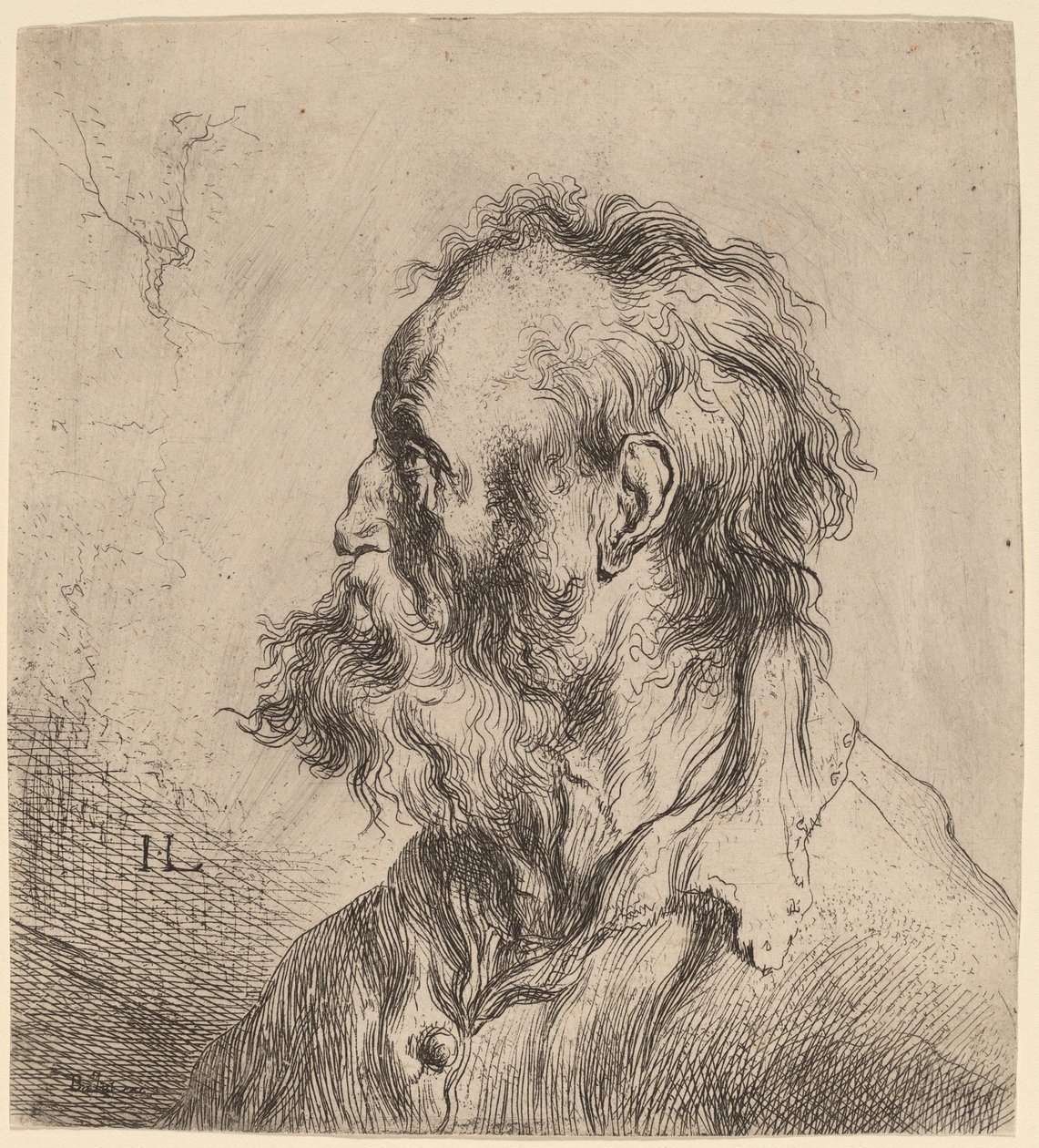 Buste af en skægget gammel mand af Jan Lievens