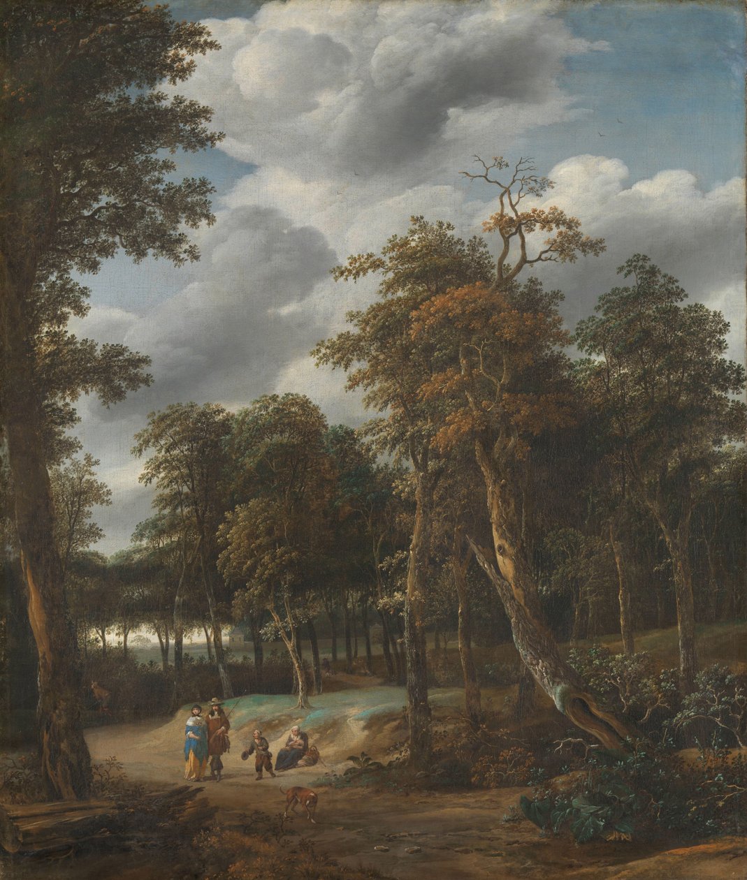 Skovvej af Jan Looten