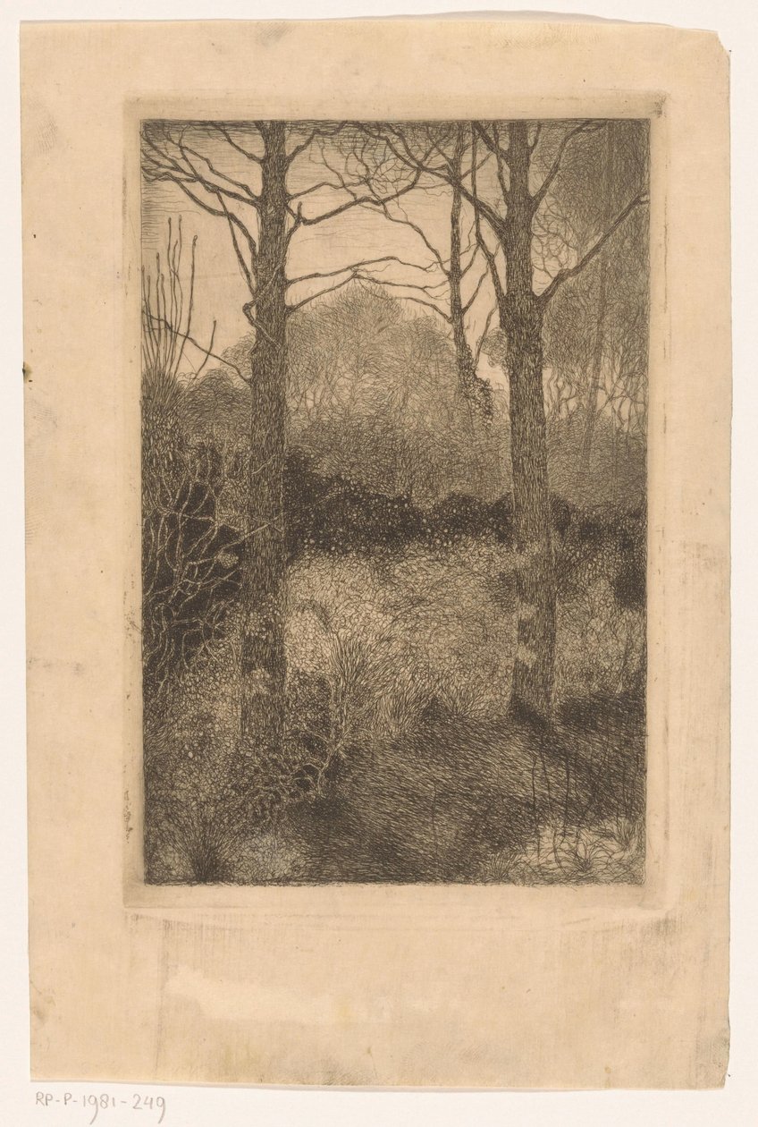 skovbryn af Jan Mankes