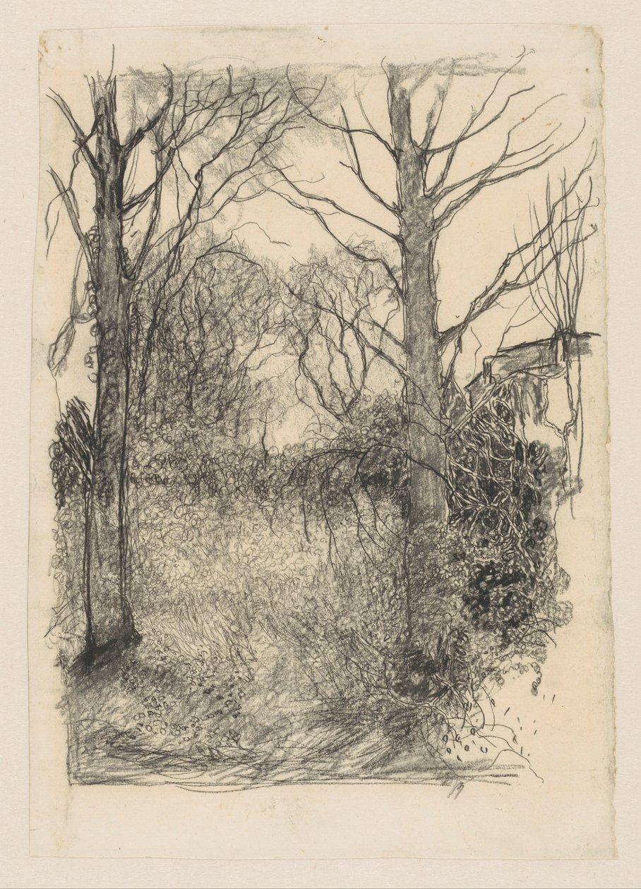 skovbryn af Jan Mankes
