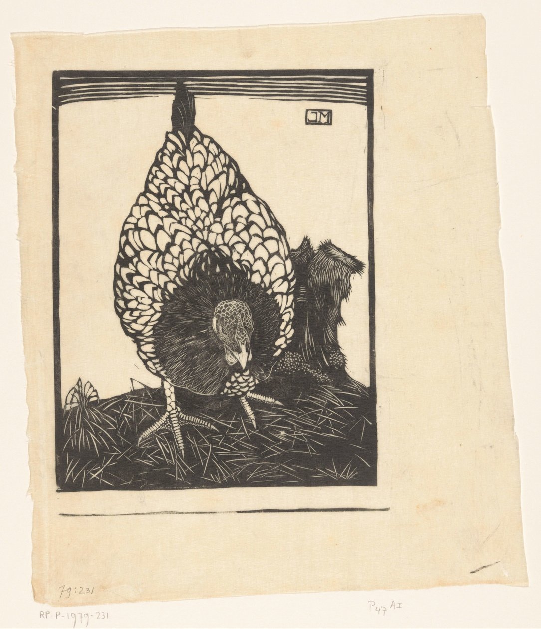 sølv wyandotte af Jan Mankes