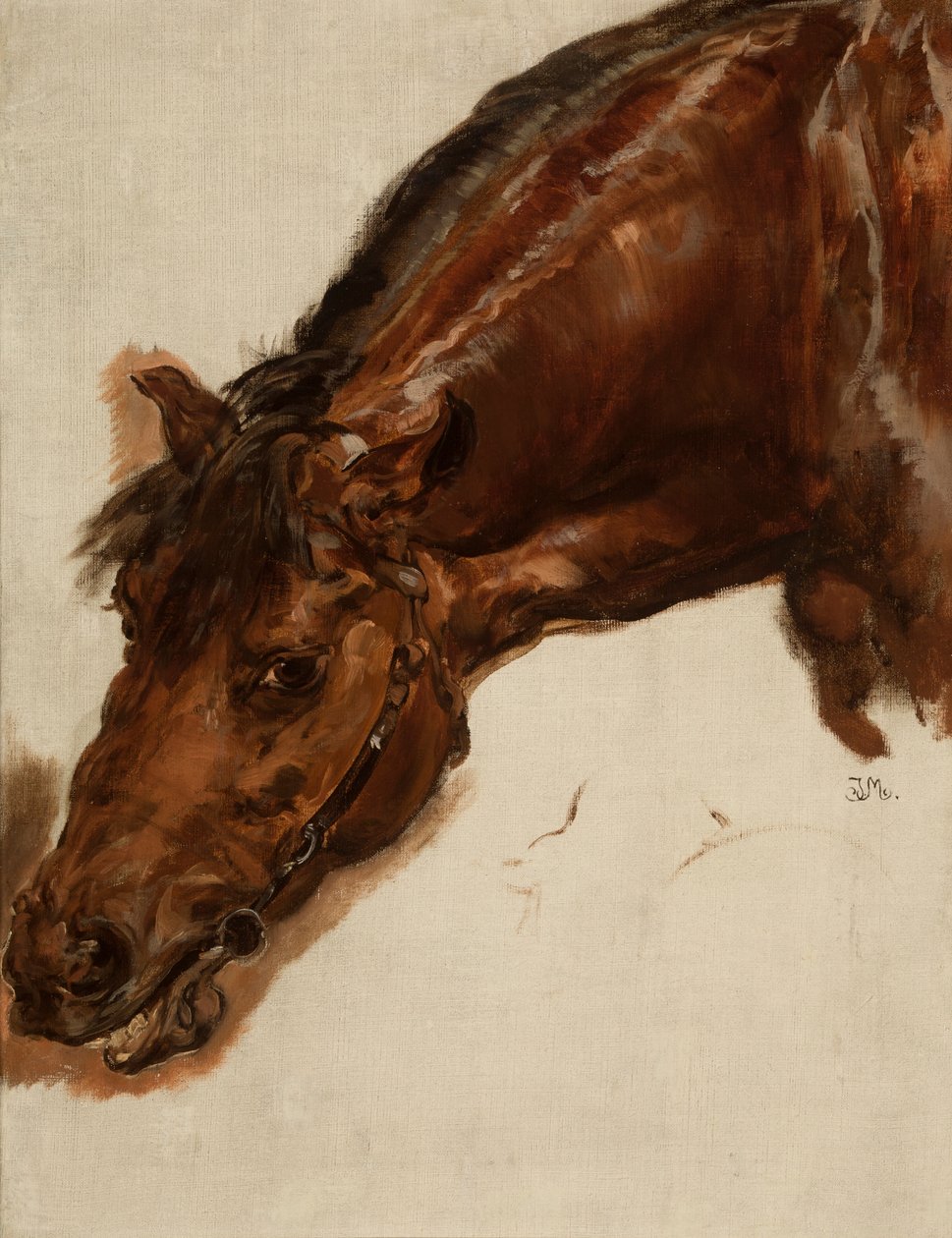 Studie af hestens hoved af Jan Matejko