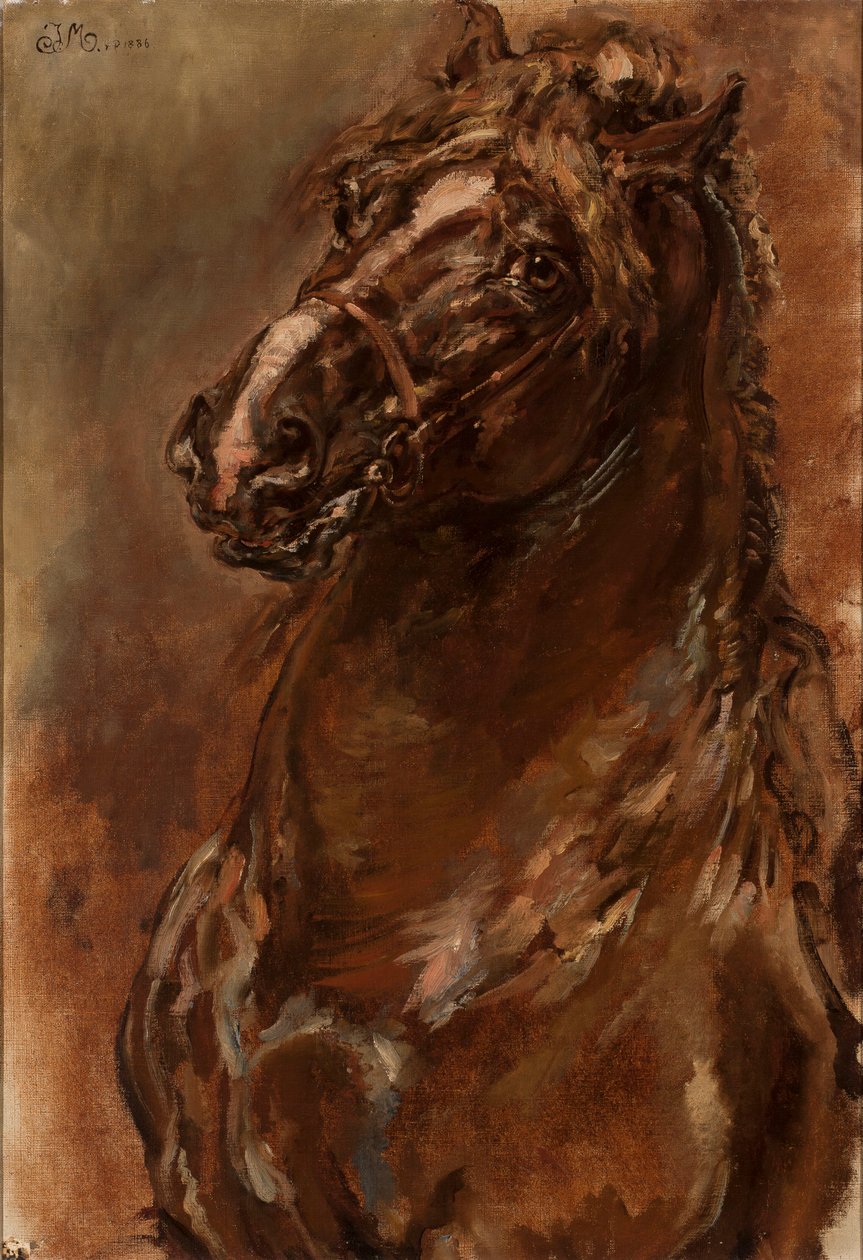 Studie af et hestehoved til »Jomfruen af Orléans« af Jan Matejko