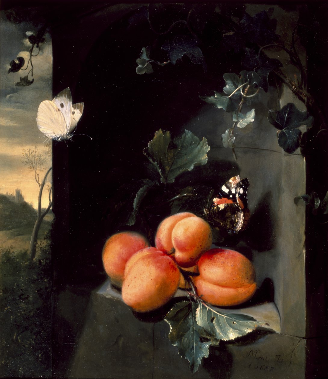 Stilleben med abrikoser og sommerfugle, 1683 af Jan Mortel