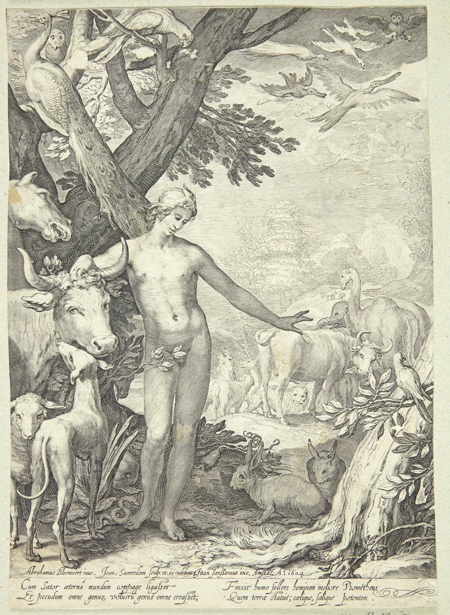 Adam navngiver dyrene af Jan Saenredam