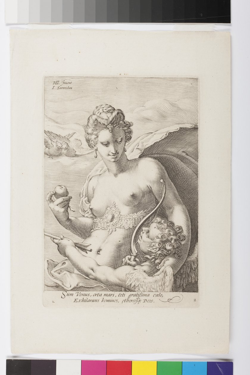 Venus (gravering) af Jan Saenredam