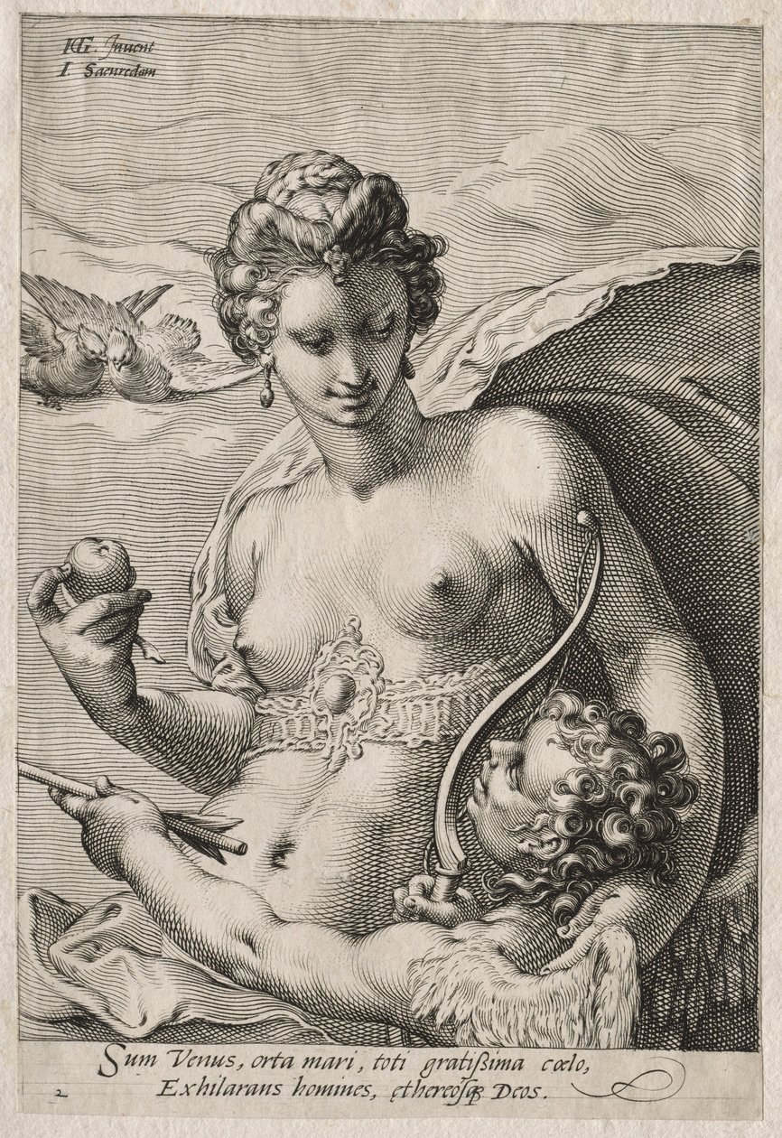 Venus og Amor, ca. 1595. af Jan Saenredam