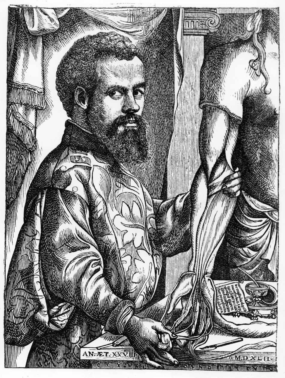 Portræt af Andreas Vesalius (1514-64) fra hans bog 