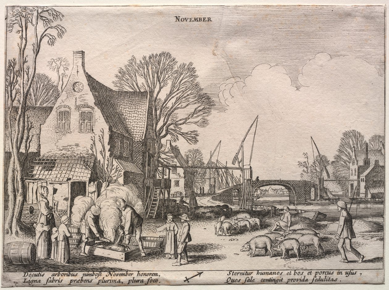 De tolv måneder: november. af Jan Van de Velde