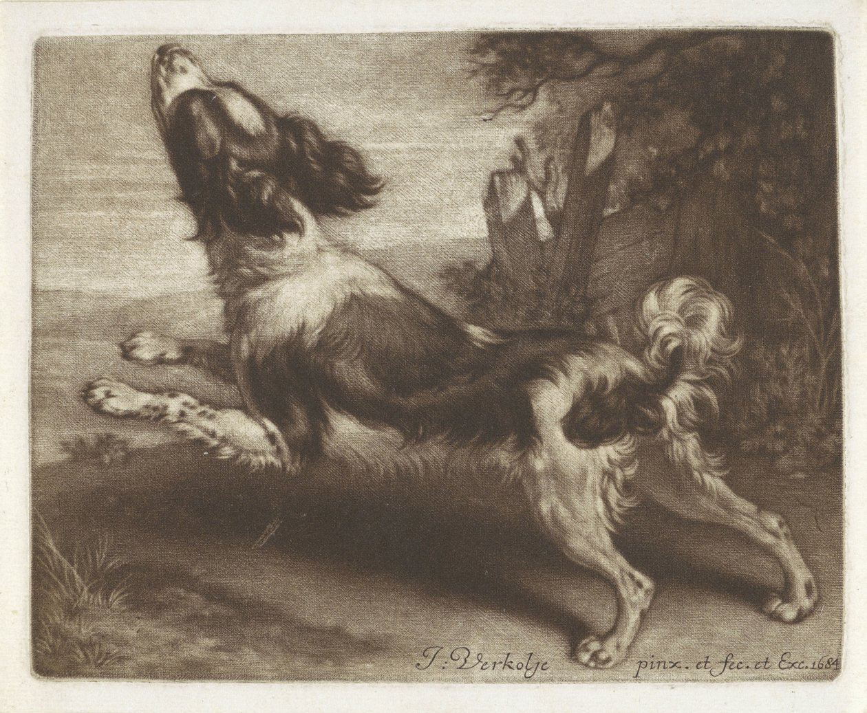 Løbende hund, muligvis en spaniel af Jan Verkolje (I)