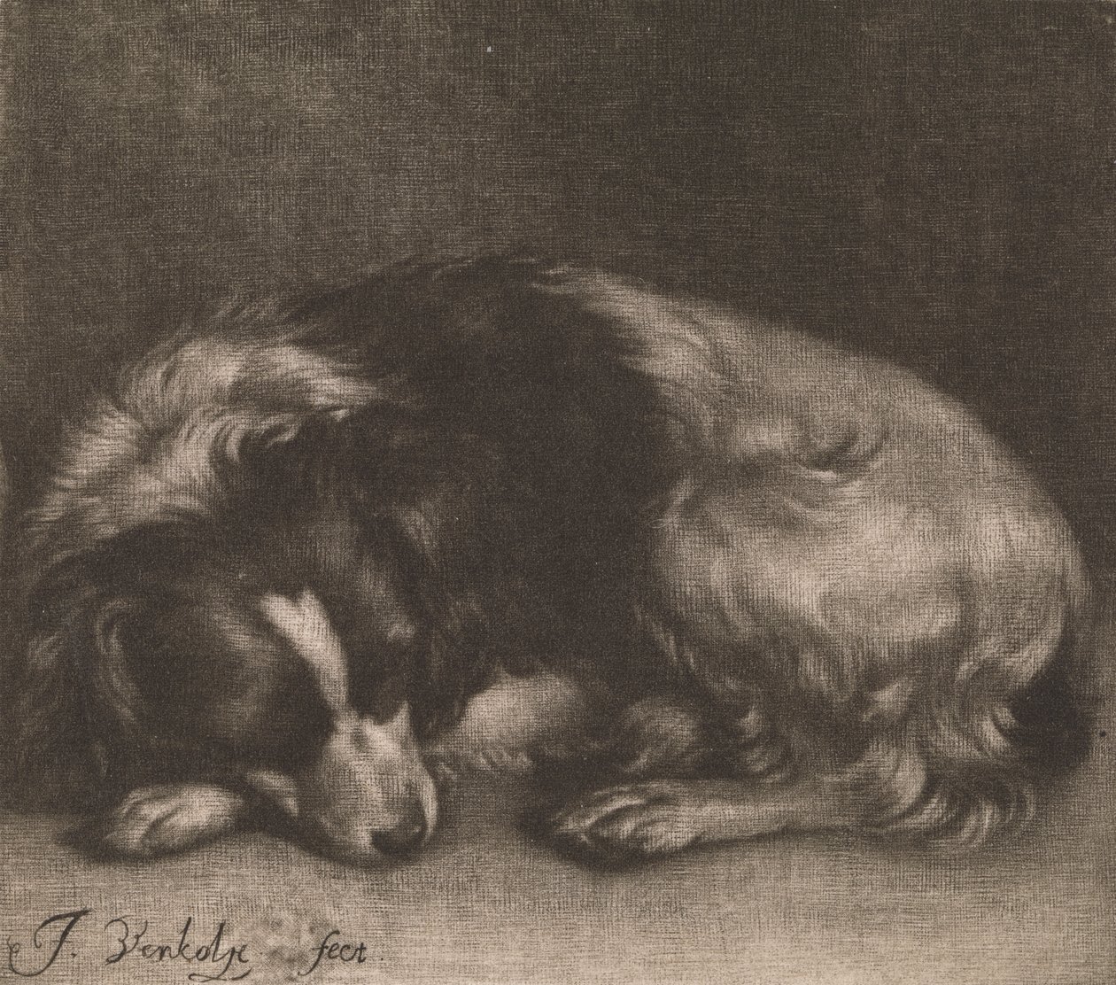 En sovende hund af Jan Verkolje