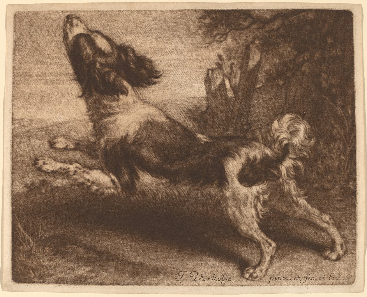 En spaniel hopper af Jan Verkolje I