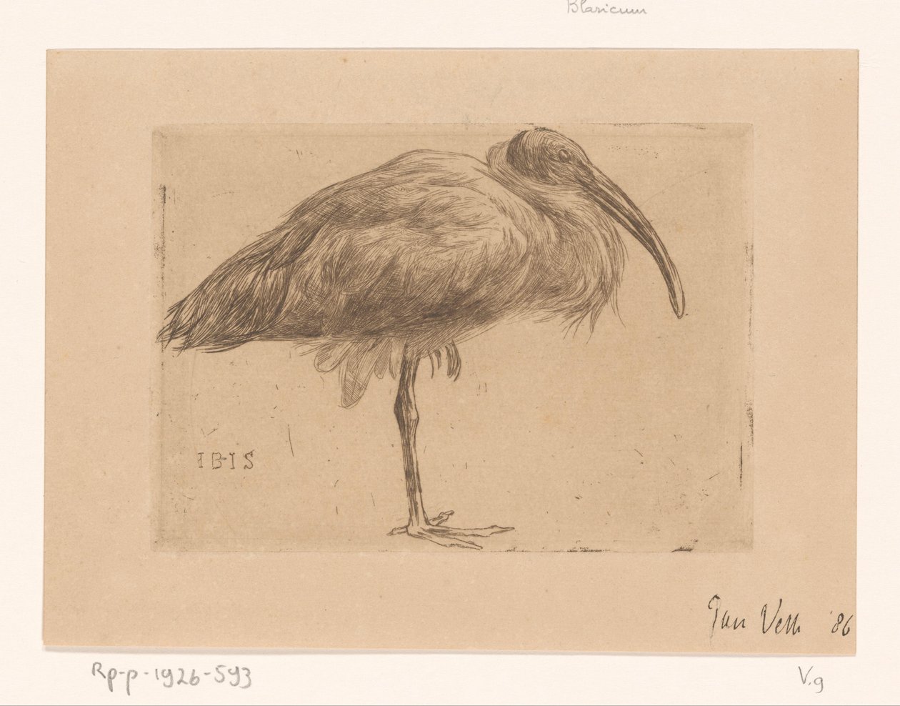 Ibis (original titel på objekt) af Jan Veth (signed by artist)