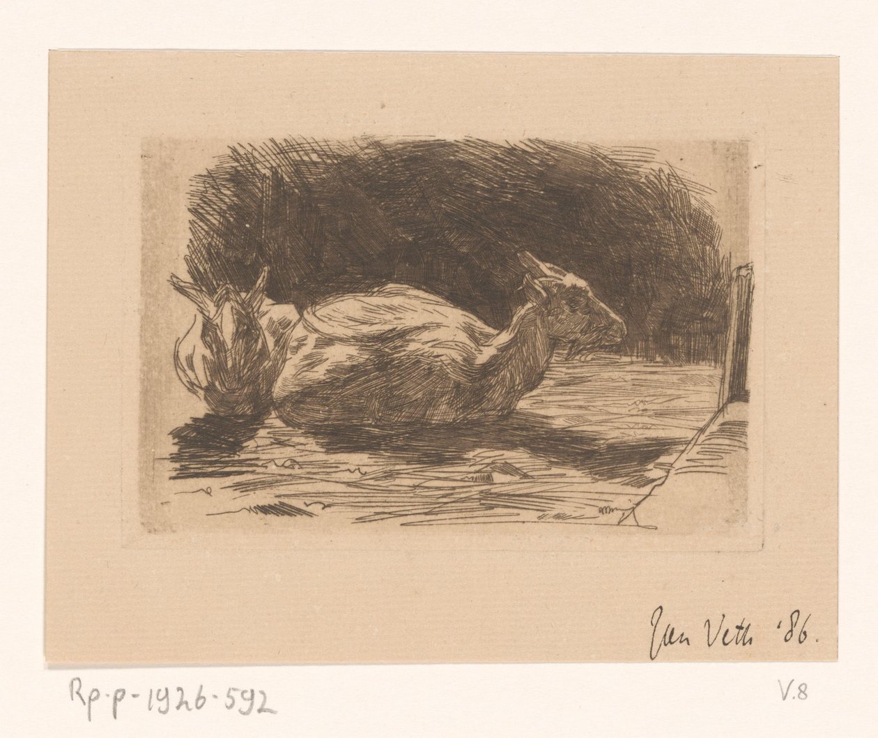 To geder af Jan Veth (signed by artist)