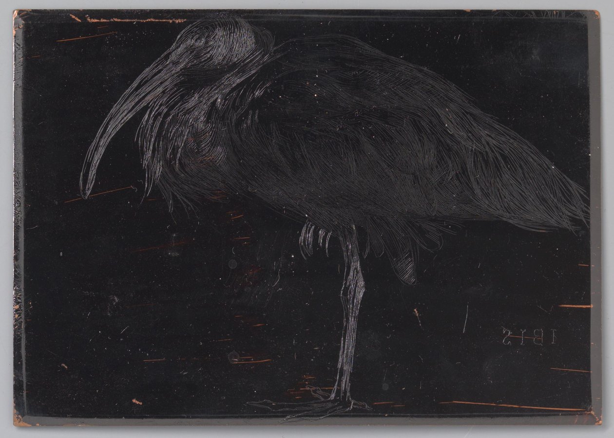 Ibis (original titel på objekt) af Jan Veth