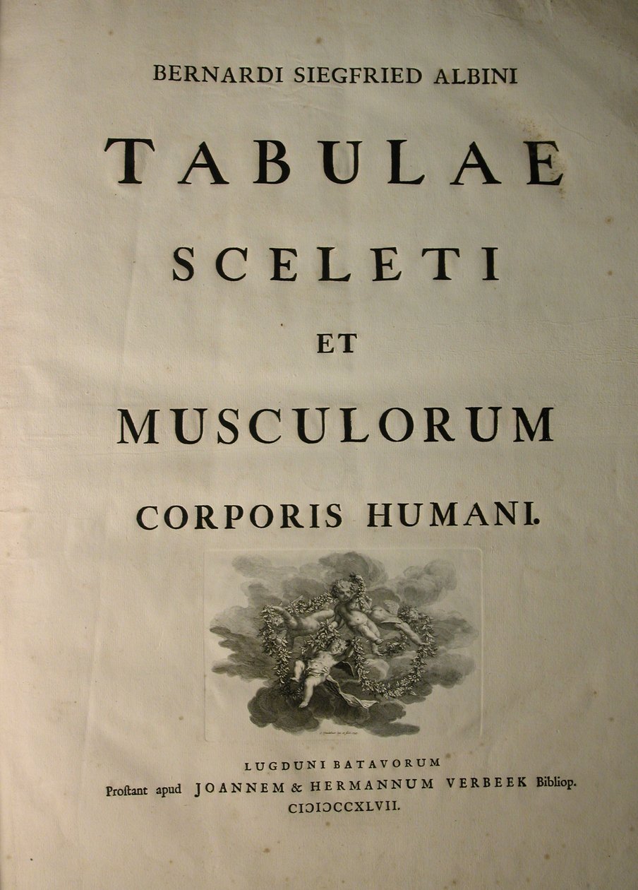 Albinus I, titelblad, fra 