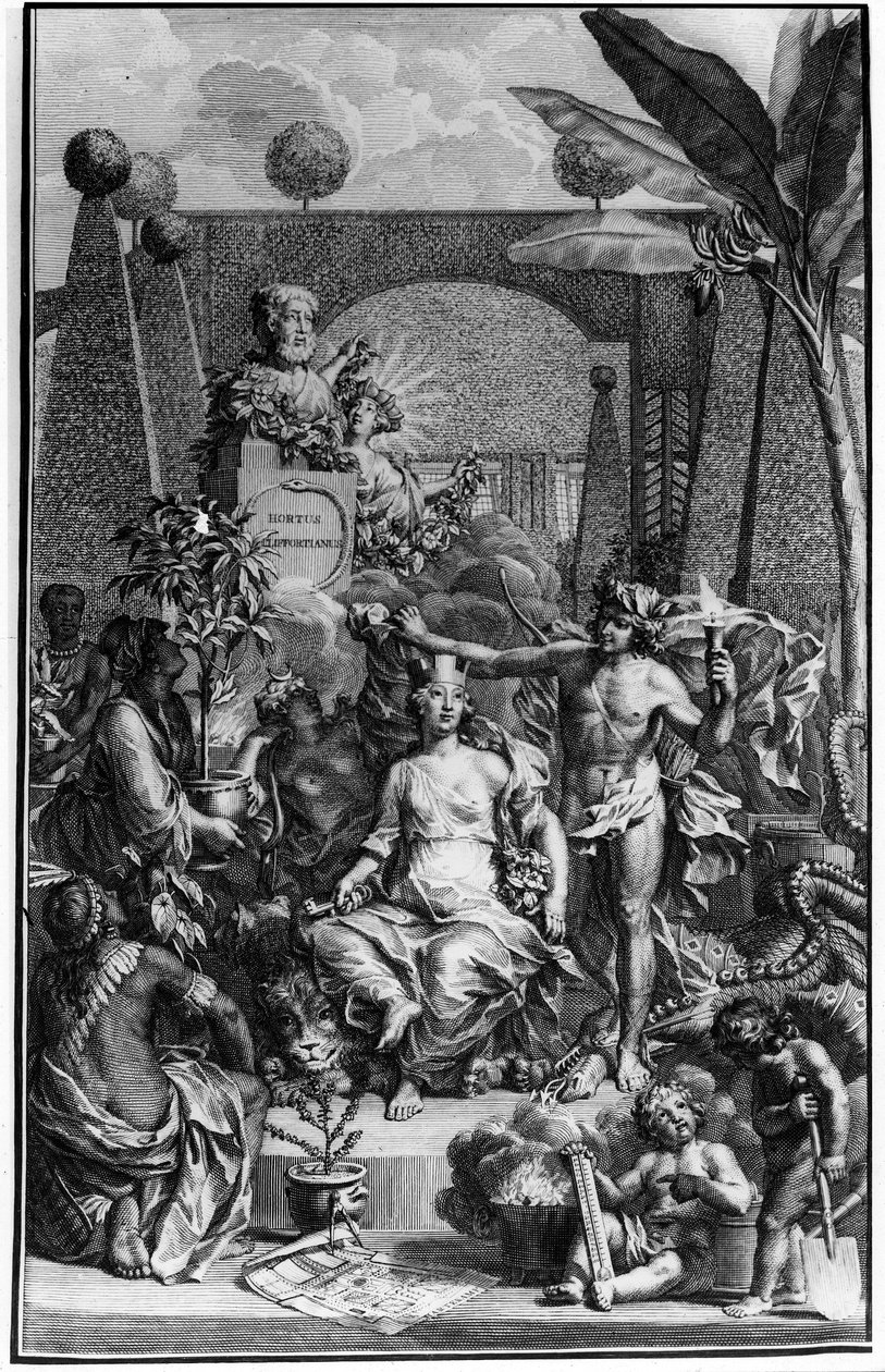 Frontispice af "Hortus Cliffortianus" af Charles Linne (Carl von Linne, Linneus 1707 - 1778), svensk naturforsker. 1737. Stik af Jan Wandelaar (1690-1759). Privat samling. af Jan Wandelaar