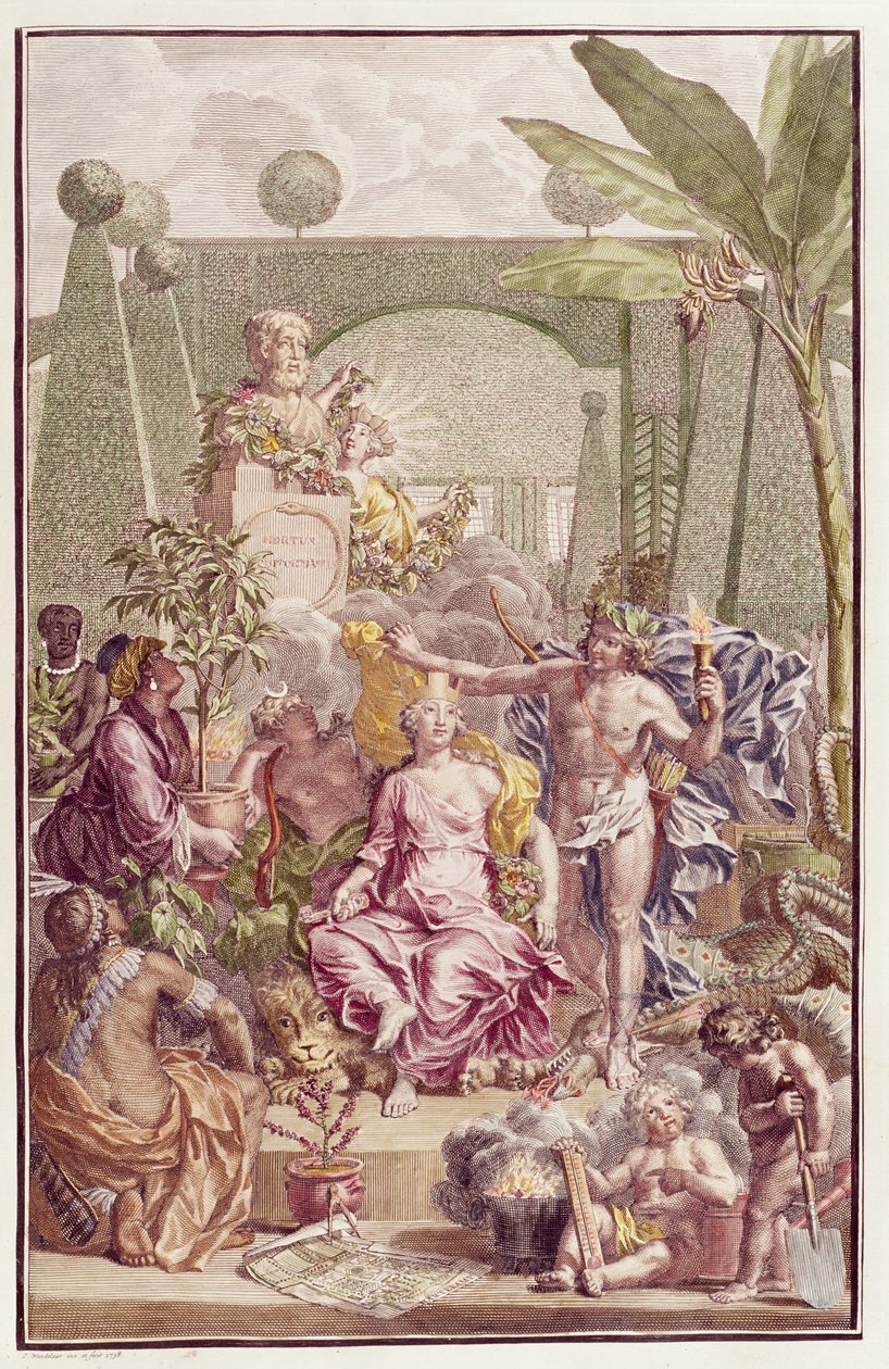 Frontispice af "Hortus Cliffortianus" af Carl Linnaeus (1707-78) af Jan Wandelaar