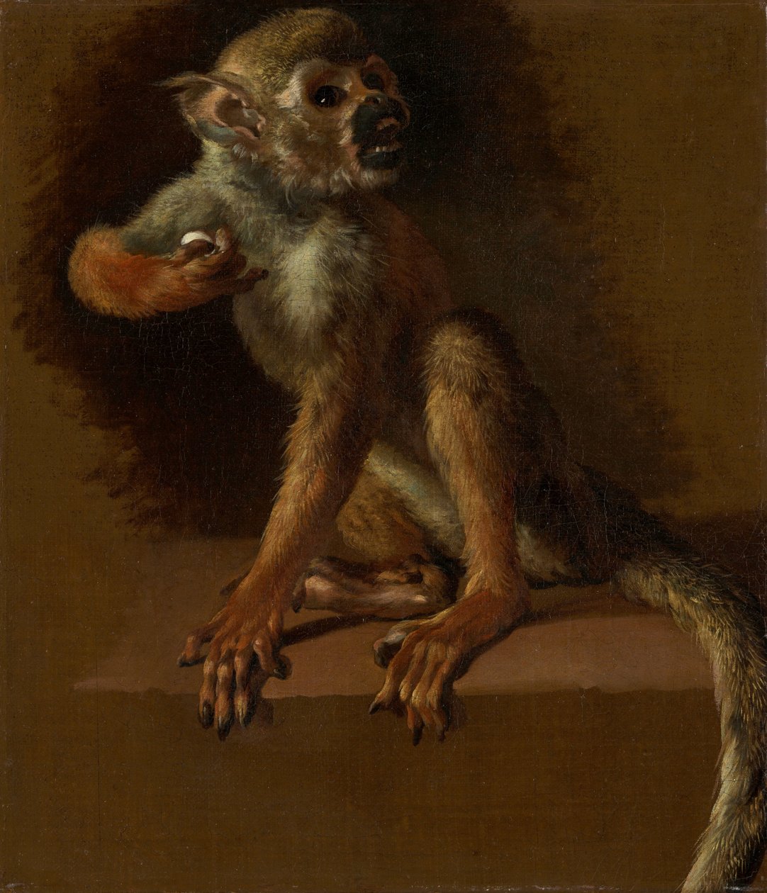 En siddende abe af Jan Baptist Weenix