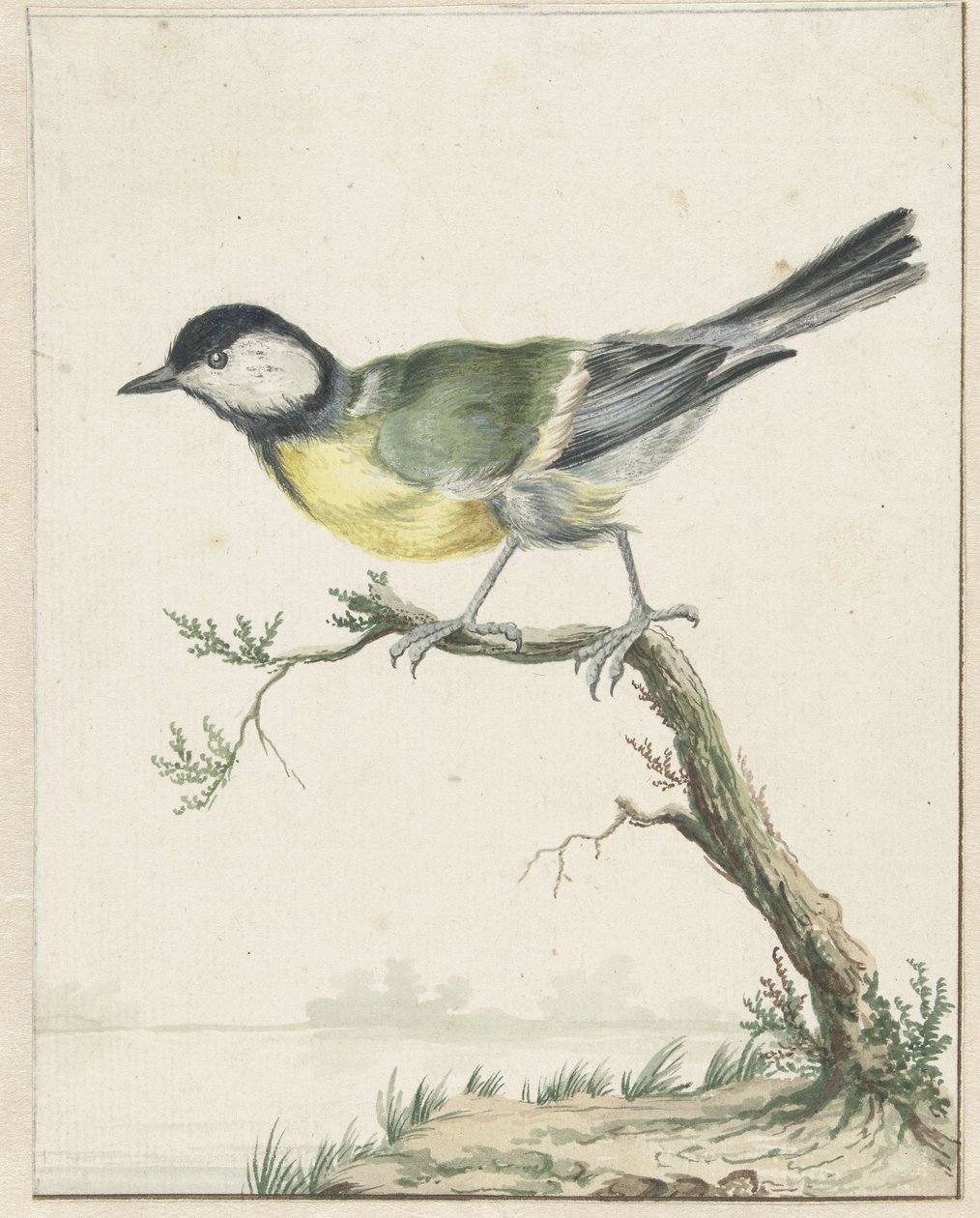 Kulmejse af Jan Baptist Weenix
