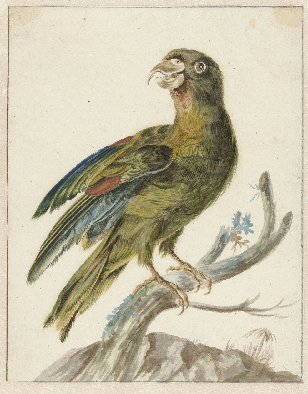 Parakit af Jan Baptist Weenix