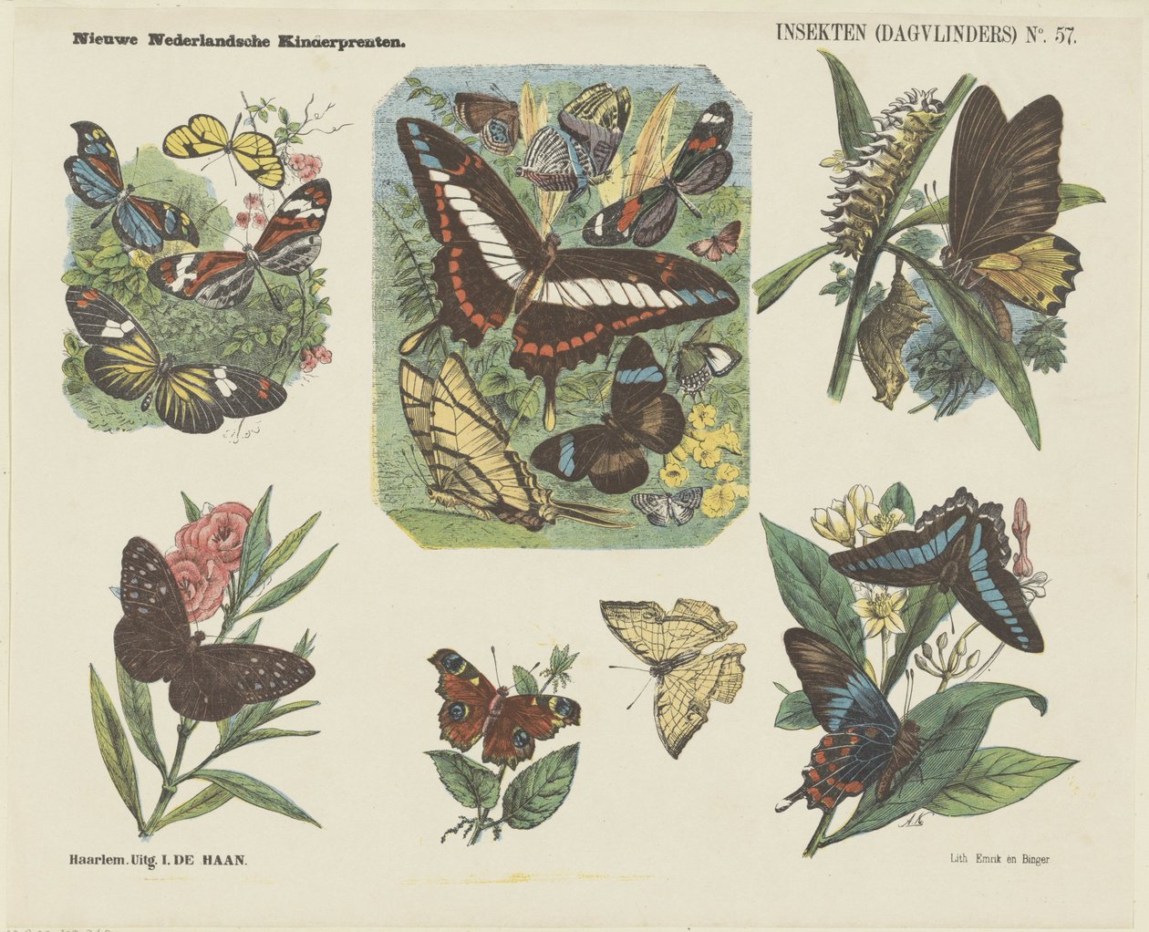 Insekter (sommerfugle) (titel på objekt) Nye hollandske børnetryk (serietitel på objekt) af Jan de Haan