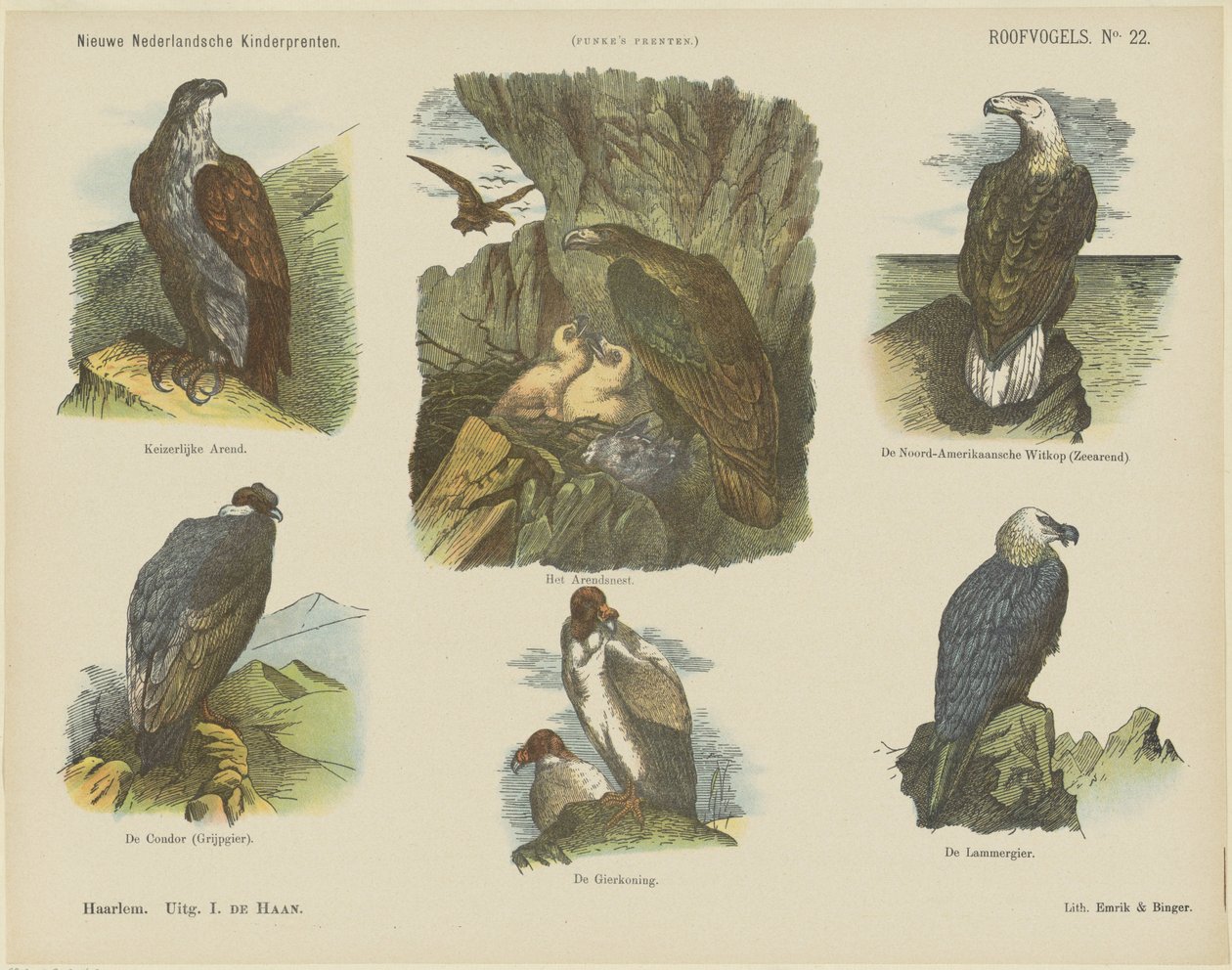 Birds of Prey (titel på objekt) Nye hollandske børnetryk (serietitel på objekt) Funkes print (serietitel på objekt) af Jan de Haan