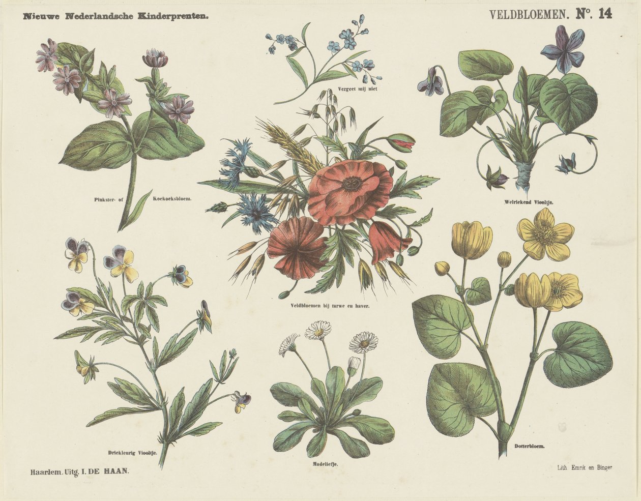 Vilde blomster (titel på objekt) Nye hollandske børnetryk (serietitel på objekt) af Jan de Haan