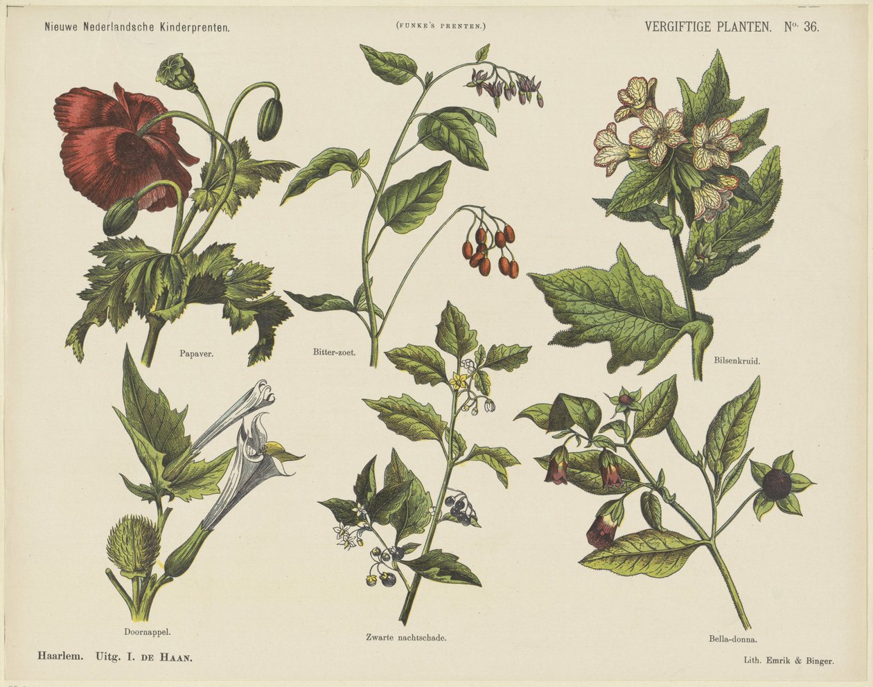 Giftige planter (titel på objekt) Nye hollandske børnetryk (serietitel på objekt) Funkes print (serietitel på objekt) af Jan de Haan