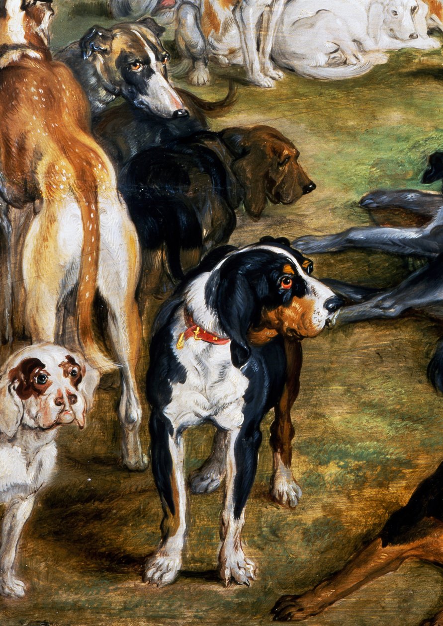 Hunde, detaljer fra Diana og Nymphs på tidspunktet for at forlade af Jan the Elder Brueghel