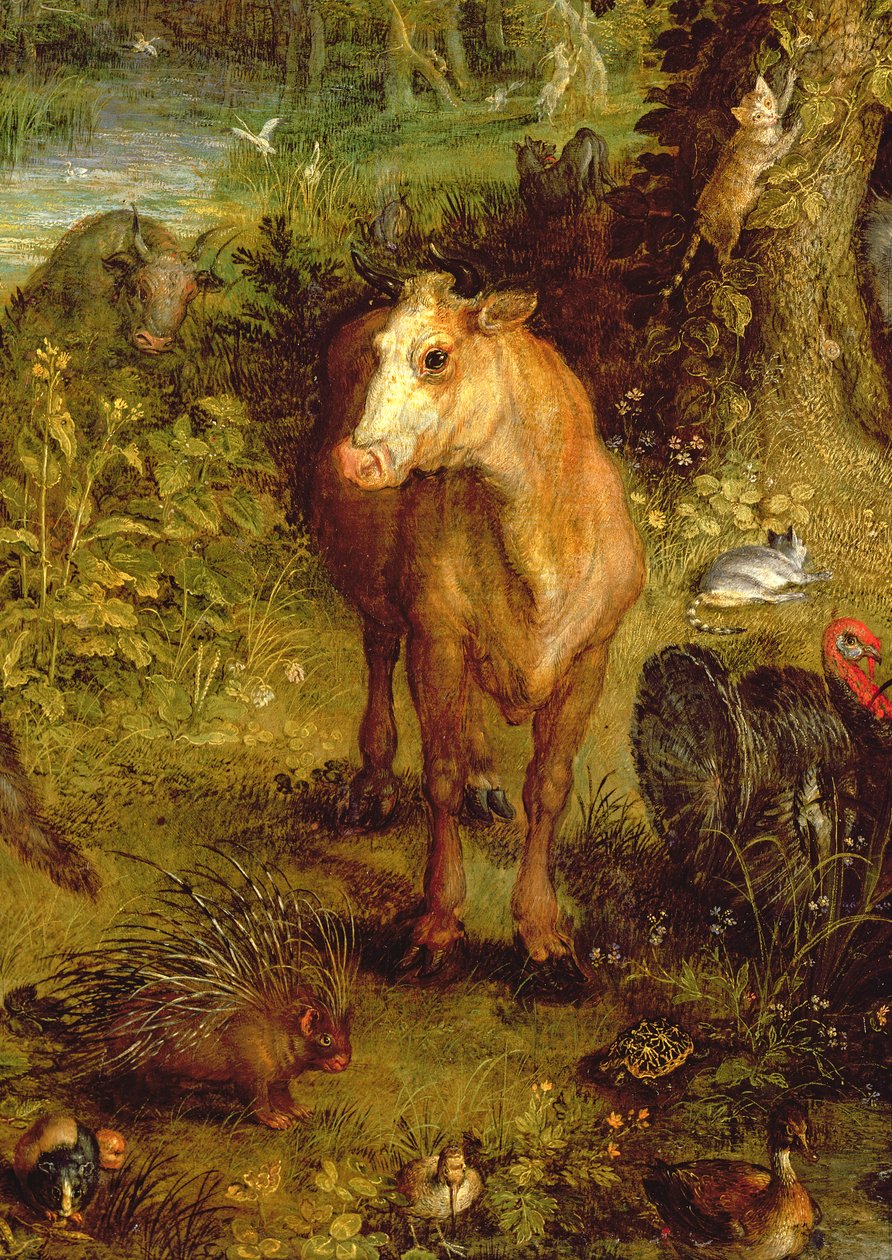 Jorden eller Det jordiske paradis, detalje af en ko, et pindsvin og andre dyr, 1607-08 olie på kobber detalje af 93899 af Jan the Elder Brueghel