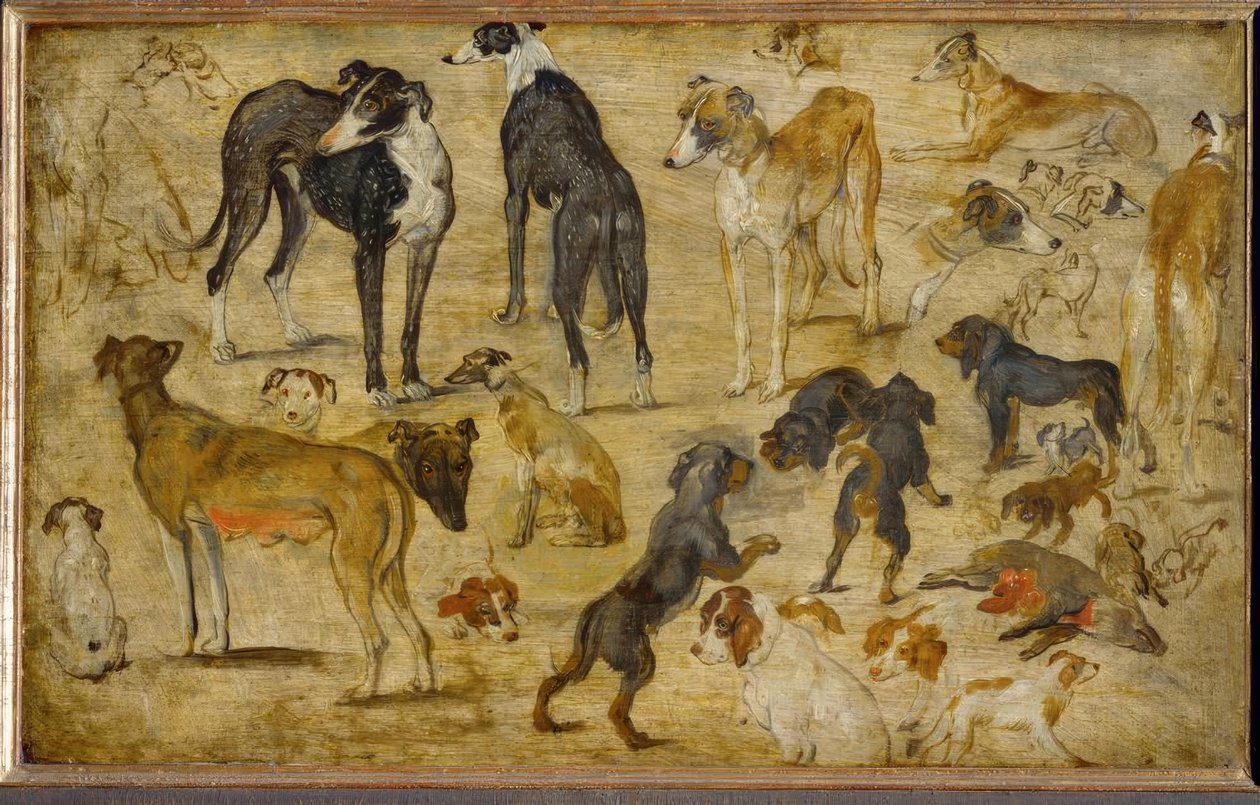 Tierstudien af Jan the Elder Brueghel