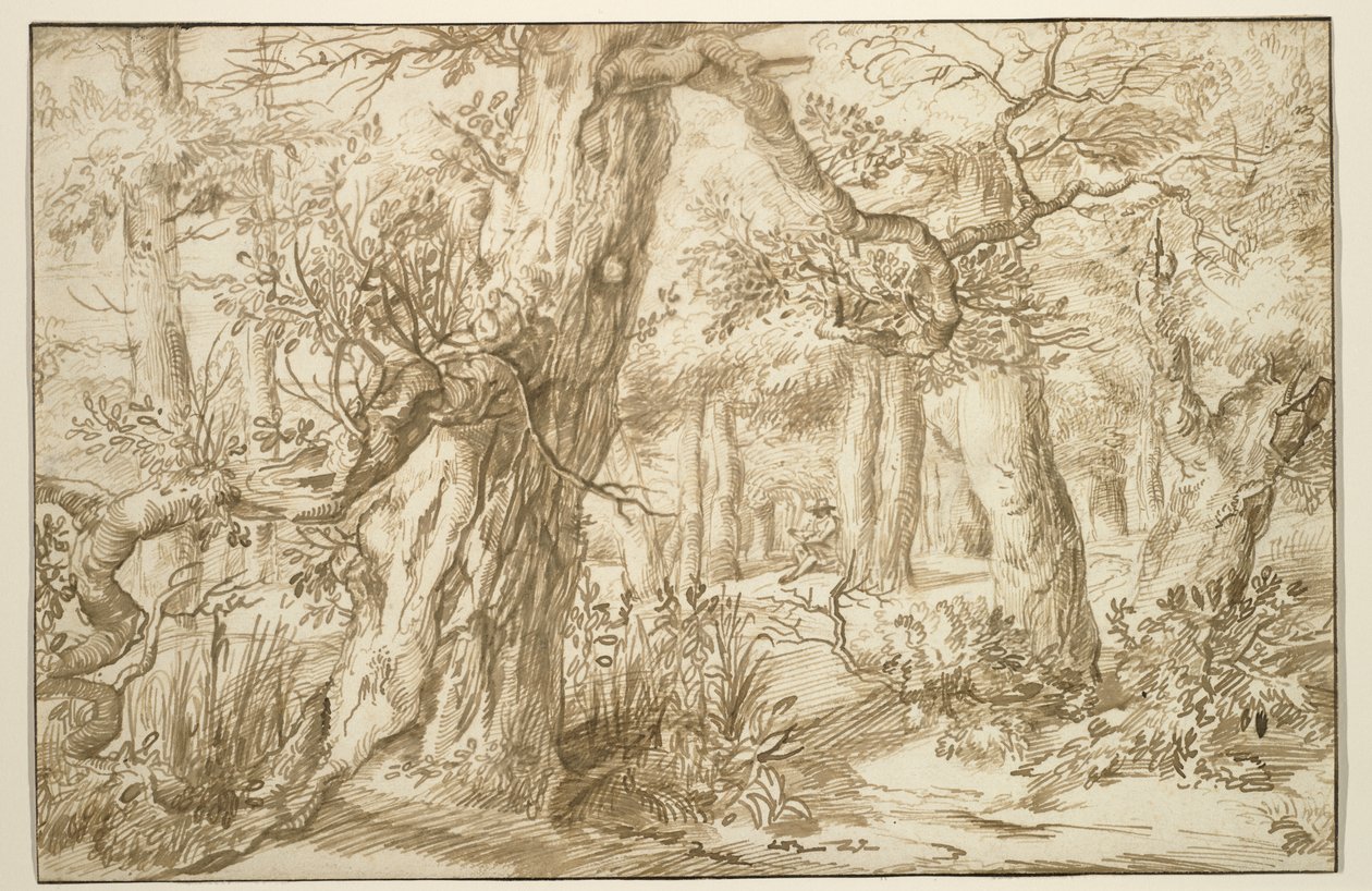 Skovinteriør med tegner, ca. 1664 (brunt blæk på antikt lagt papir) af Jan the Elder Lievens