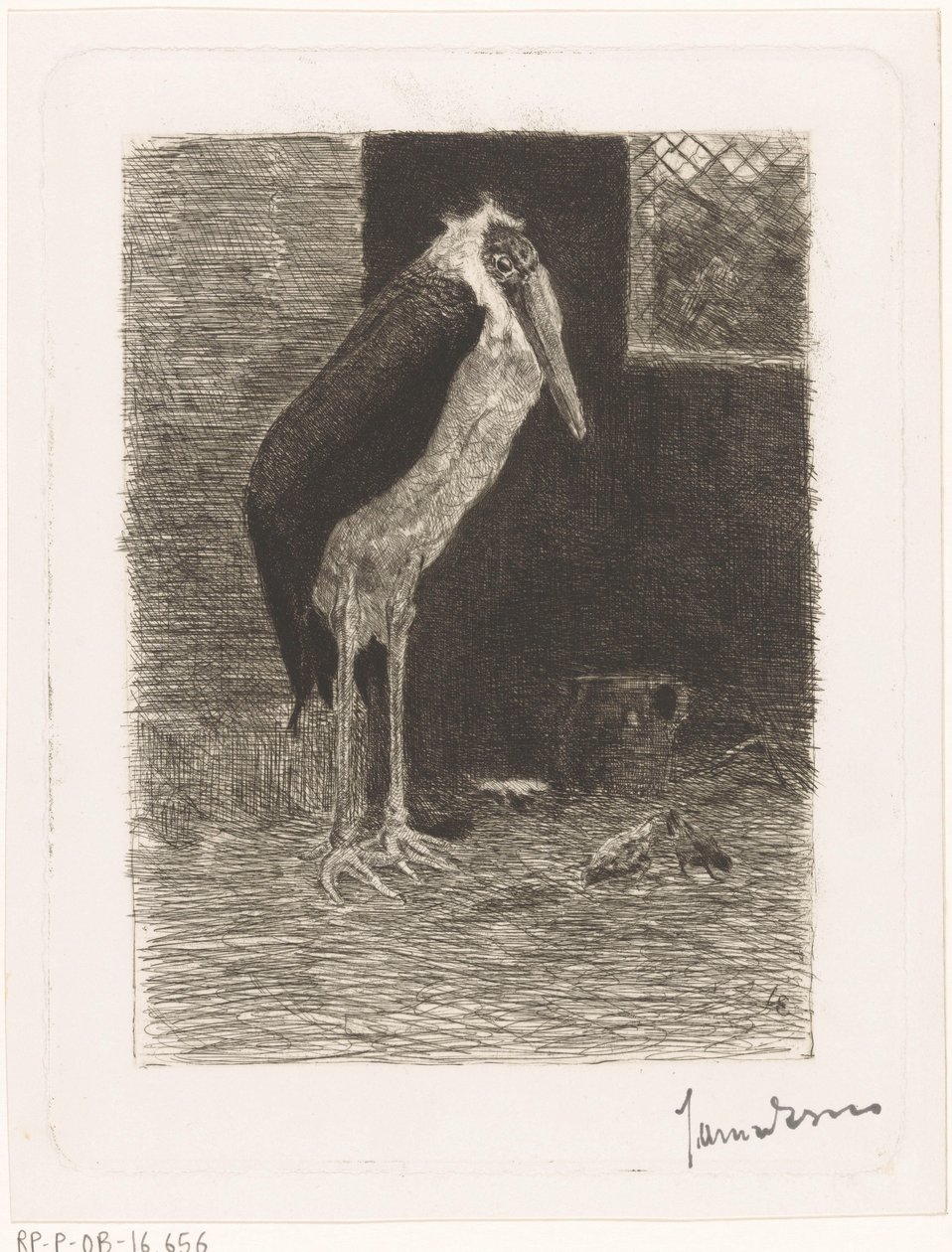 Marabou af Jan van Essen (signed by artist)